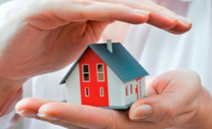 Insurance homeowners Top 10 Tips for Choosing the Right Home Insurance Provider