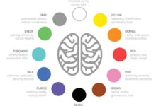 Color Psychology in Interior Design: Creating the Perfect Mood for Every Room