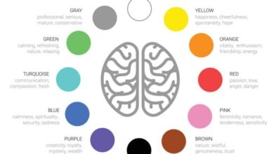 Color Psychology in Interior Design: Creating the Perfect Mood for Every Room